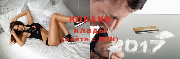 соль ск Арсеньев