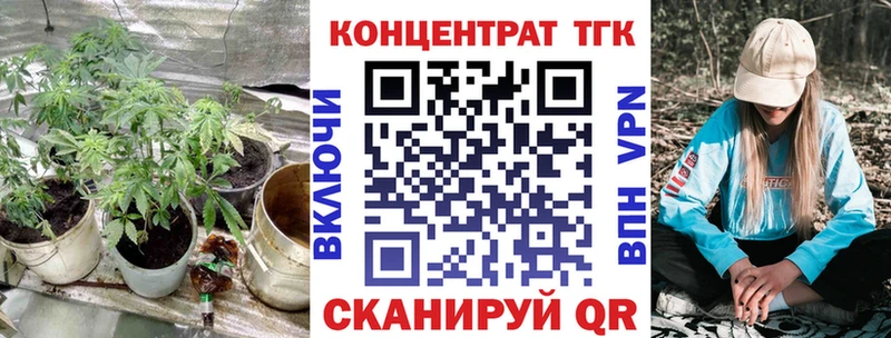 ТГК Wax  дарк нет телеграм  Полярные Зори 